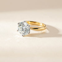 001-12971_1899_NOVA_RECLAIMED_SM1_d81be983-7700-4a8a-9e1b-459528972c11 - Walker & Hall