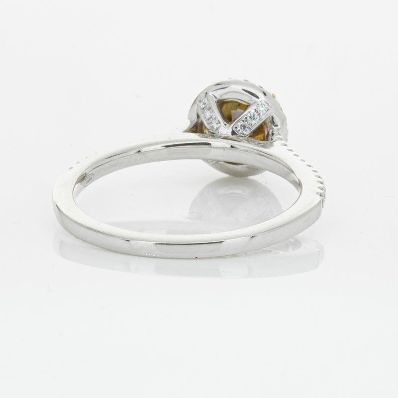 18ct White Gold Mocha Diamond Halo Ring-Ring-Walker & Hall