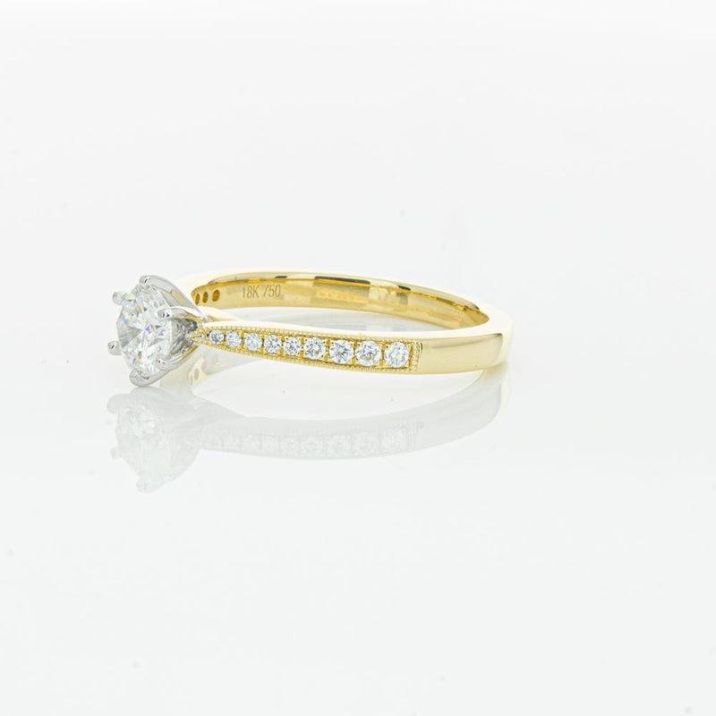 18ct Yellow Gold .50ct Diamond Zenith Ring-Ring-Walker & Hall
