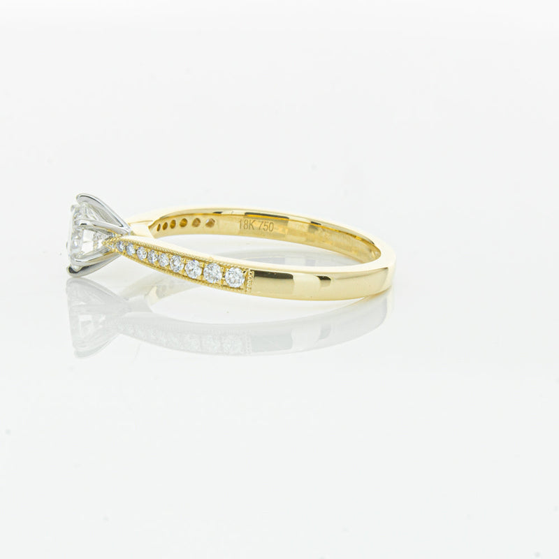 18ct Yellow Gold .50ct Diamond Zenith Ring-Ring-Walker & Hall