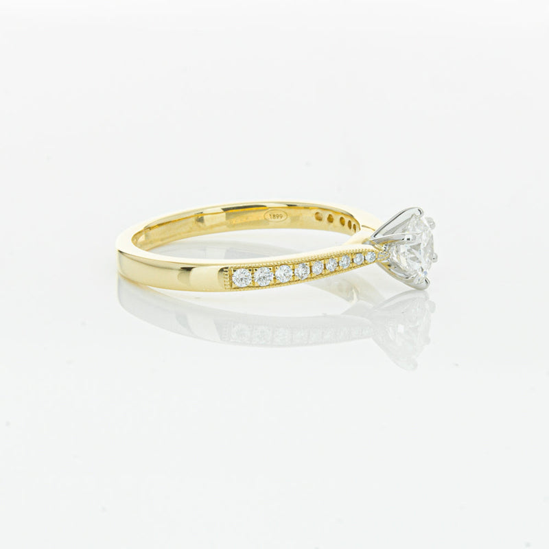 18ct Yellow Gold .50ct Diamond Zenith Ring-Ring-Walker & Hall