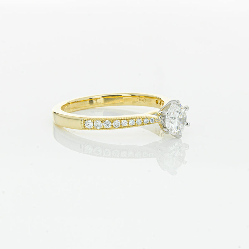 18ct Yellow Gold .50ct Diamond Zenith Ring-Ring-Walker & Hall