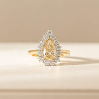 001-12411_1899_BELLE_SM3-2 - Walker & Hall