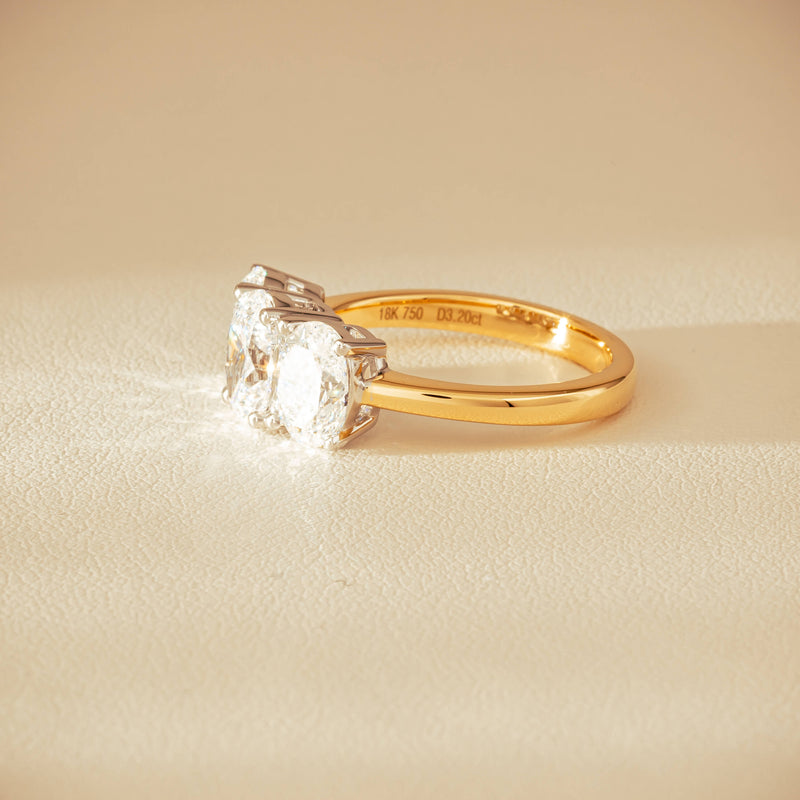 18ct Yellow & White Gold 3.20ct Oval-Diamond Odyssey Ring - Ring - Walker & Hall