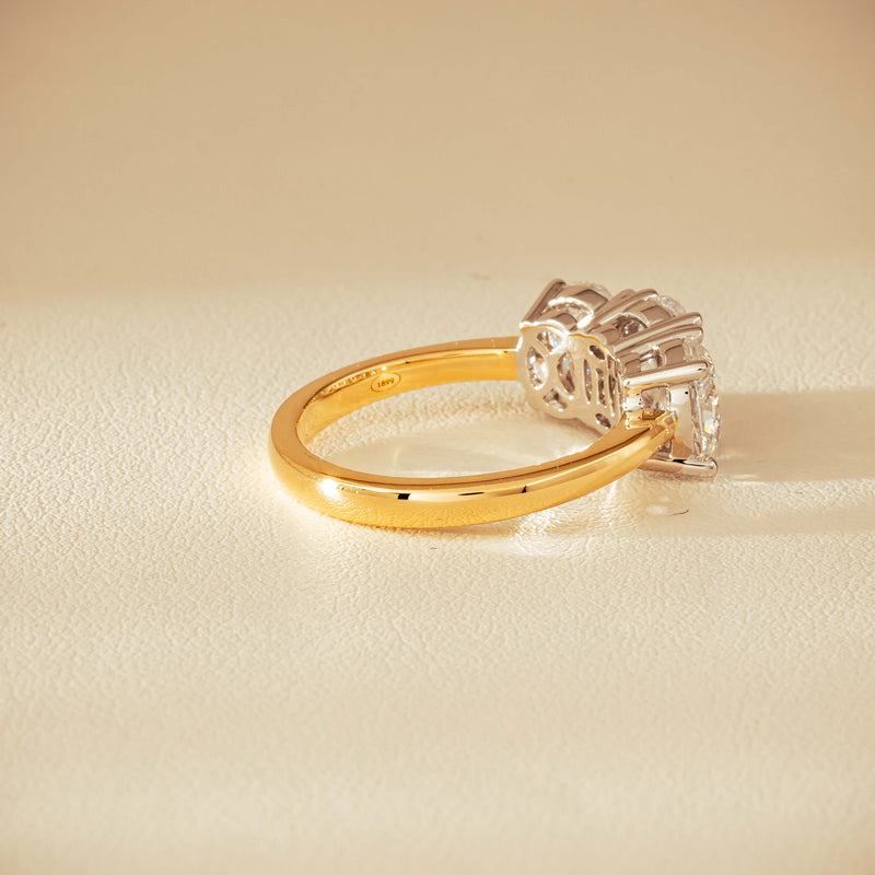 18ct Yellow & White Gold 3.20ct Oval-Diamond Odyssey Ring - Ring - Walker & Hall