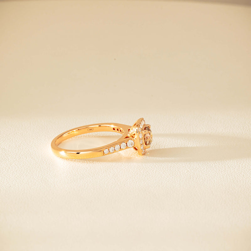 18ct Rose Gold .51ct Champagne Diamond Aurora Ring - Ring - Walker & Hall