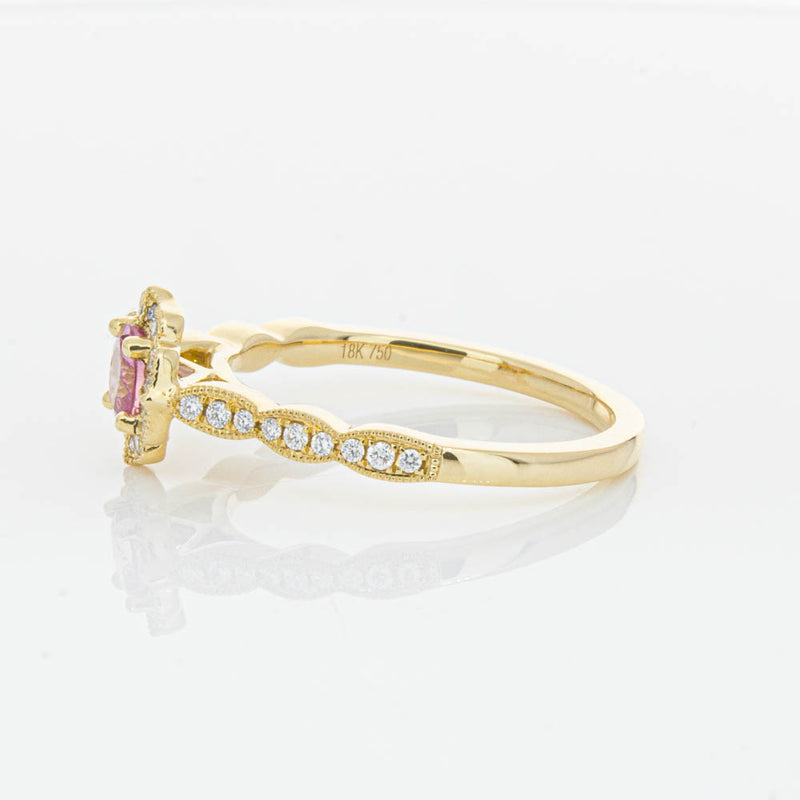 18ct Yellow Gold Pink Sapphire & Diamond Paramount Ring-Ring-Walker & Hall