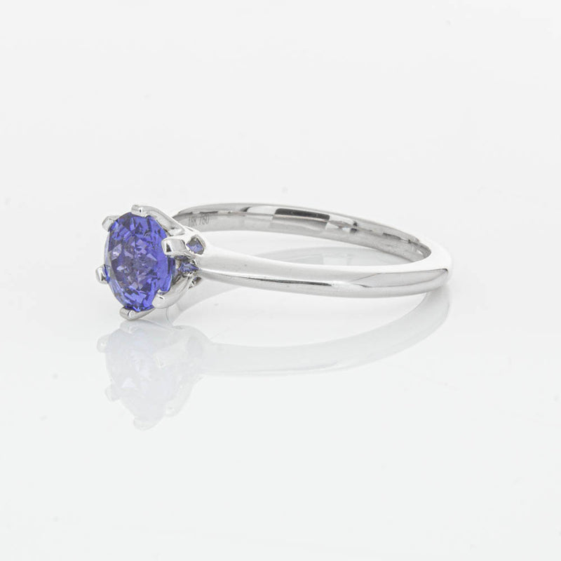 18ct White Gold Sapphire Cosmopolitan Ring-Ring-Walker & Hall