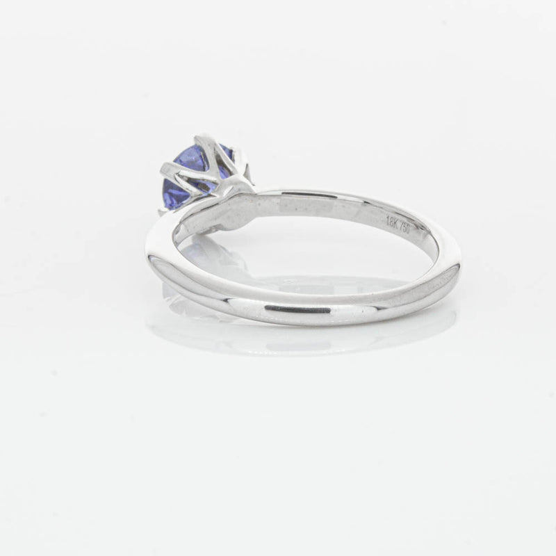 18ct White Gold Sapphire Cosmopolitan Ring-Ring-Walker & Hall