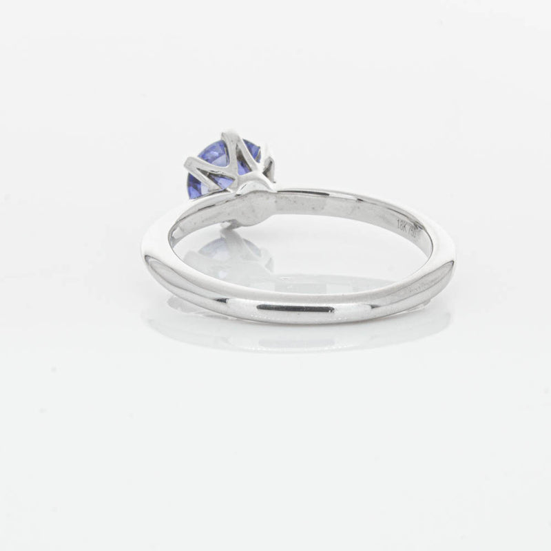 18ct White Gold Sapphire Cosmopolitan Ring-Ring-Walker & Hall