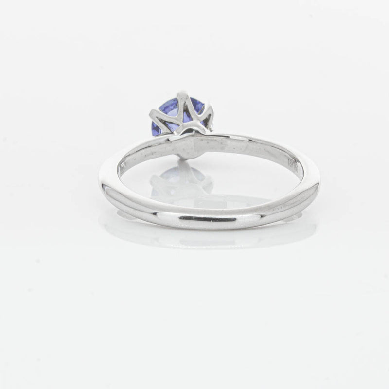 18ct White Gold Sapphire Cosmopolitan Ring-Ring-Walker & Hall
