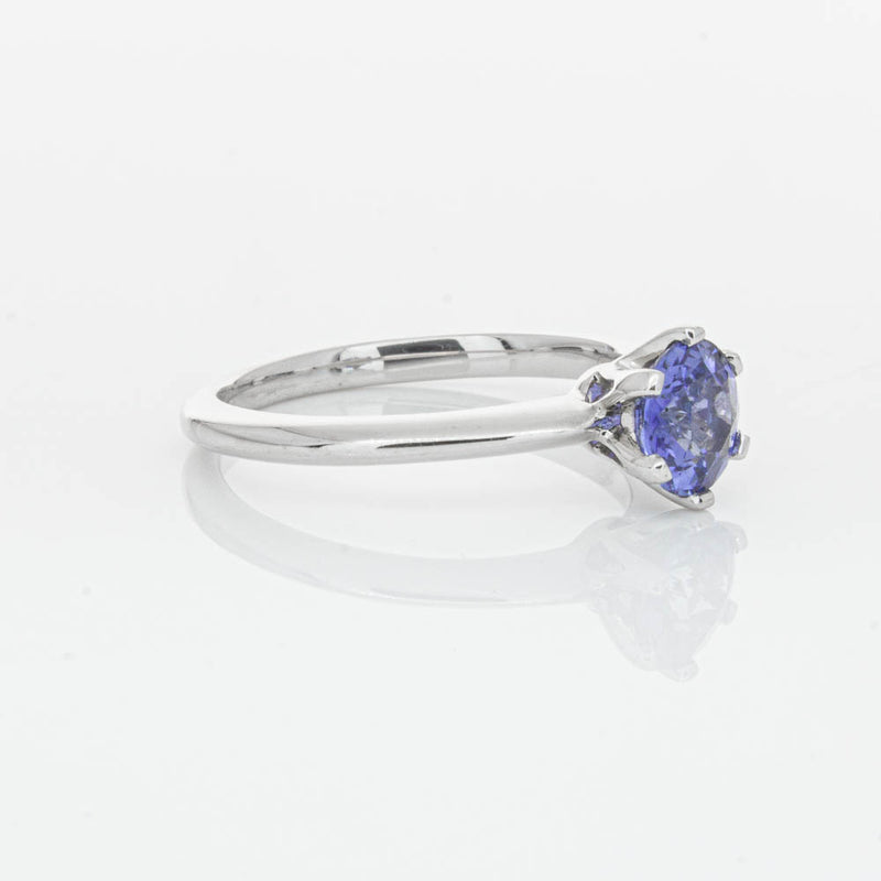 18ct White Gold Sapphire Cosmopolitan Ring-Ring-Walker & Hall