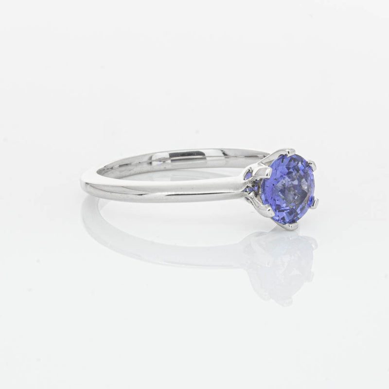18ct White Gold Sapphire Cosmopolitan Ring-Ring-Walker & Hall