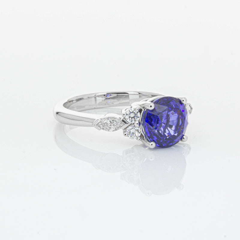 18ct White Gold 3.03ct Sapphire & Diamond Oriana Ring-Ring-Walker & Hall