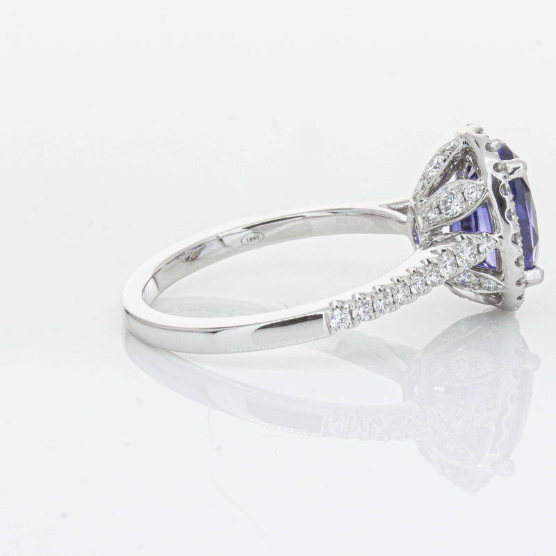 18ct White Gold 2.75ct Sapphire & Diamond Sierra Ring-Ring-Walker & Hall