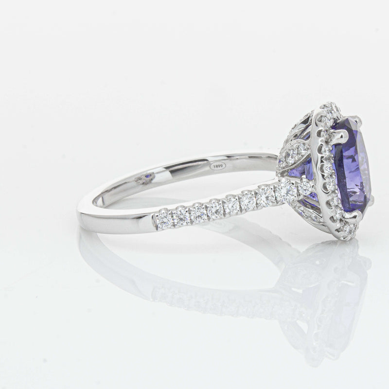 18ct White Gold 2.75ct Sapphire & Diamond Sierra Ring-Ring-Walker & Hall