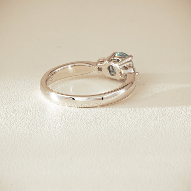 002-06409_23 - Walker & Hall