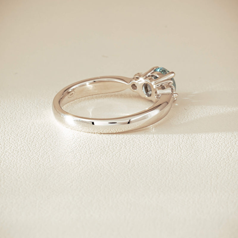 002-06409_24 - Walker & Hall