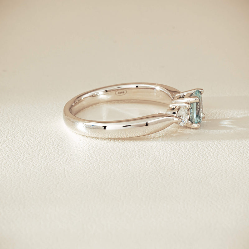 002-06409_29 - Walker & Hall