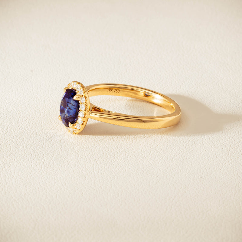 18ct Yellow Gold 1.58ct Sapphire & Diamond Nina Ring - Ring - Walker & Hall