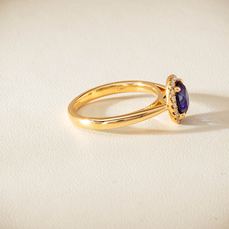 18ct Yellow Gold 1.58ct Sapphire & Diamond Nina Ring - Ring - Walker & Hall