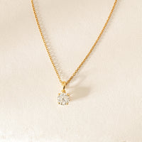 006-00836_1899_BLOSSOM_SM1_3fab703c-8a66-4881-8dc7-a83179ab9c36 - Walker & Hall