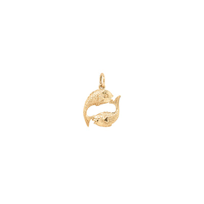 Deja Vu 9ct Yellow Gold Pisces Charm-Charm-Walker & Hall