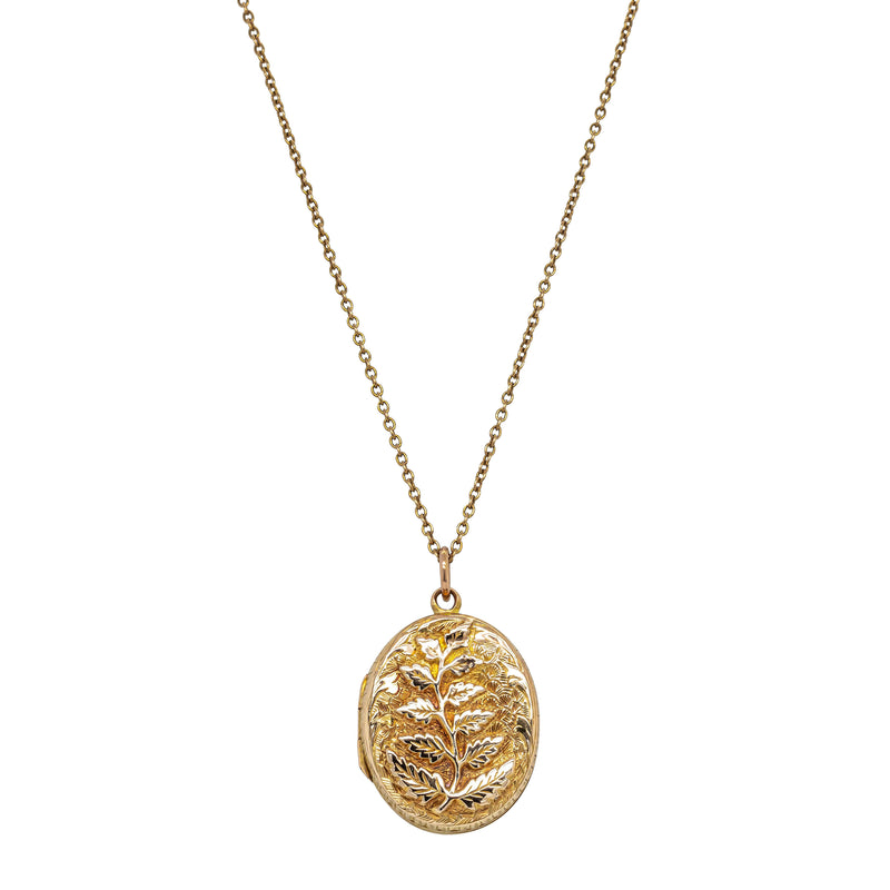 Deja Vu 15ct Rose Gold Fern Oval Locket with Chain - Necklace - Walker & Hall