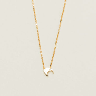 9ct Yellow Gold Noted Kiwi with Diamond Eyes Charm - Necklace - Walker & Hall