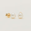 9ct Yellow Gold Akoya Pearl Studs - 7mm - Earrings - Walker & Hall