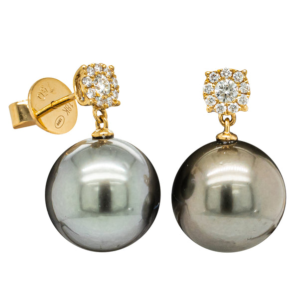 18ct Yellow Gold Tahitian Pearl & Diamond Galaxy Earrings - Earrings - Walker & Hall