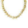 18ct Yellow Gold South Sea Pearl Strand - Necklace - Walker & Hall