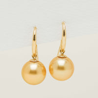 9ct Yellow Gold 10-11mm Golden South Sea Pearl Earrings - Earrings - Walker & Hall