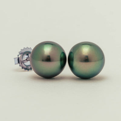 14ct White Gold 10-10.5mm Tahitian Black Pearl Studs - Earrings - Walker & Hall