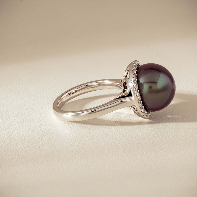 18ct White Gold 12.4mm Tahitian Pearl Diamond Callisto Ring - Ring - Walker & Hall