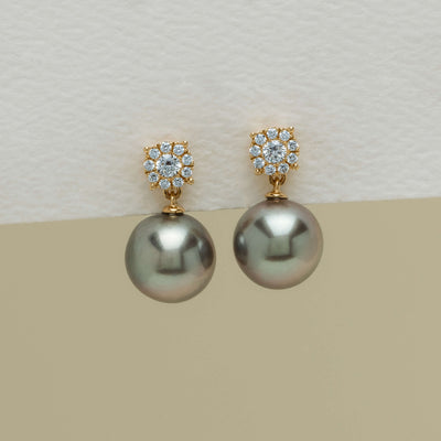 18ct Yellow Gold 10mm Black Pearl Diamond Galaxy Earrings - Earrings - Walker & Hall