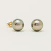 9ct Yellow Gold Tahitian Pearl Stud Earrings - Earrings - Walker & Hall