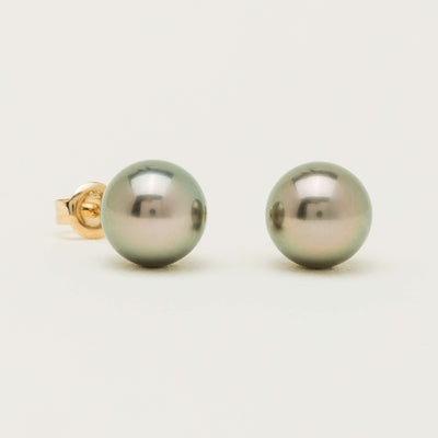 9ct Yellow Gold Tahitian Pearl Stud Earrings - Earrings - Walker & Hall