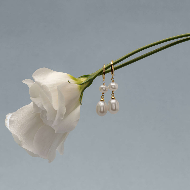 9ct Yellow Gold Freshwater Pearl Rosie Earrings - Earrings - Walker & Hall