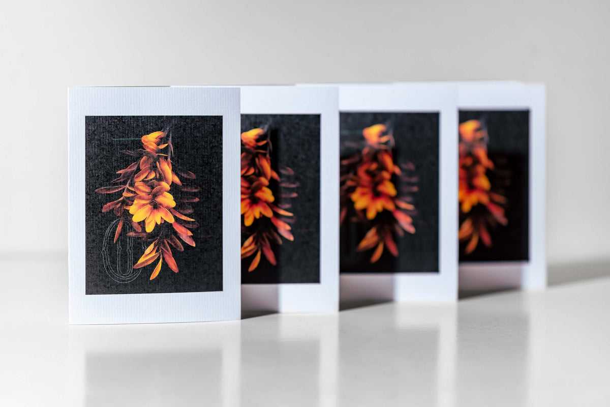 Tom Wilson x Walker & Hall Gift Card Collaboration