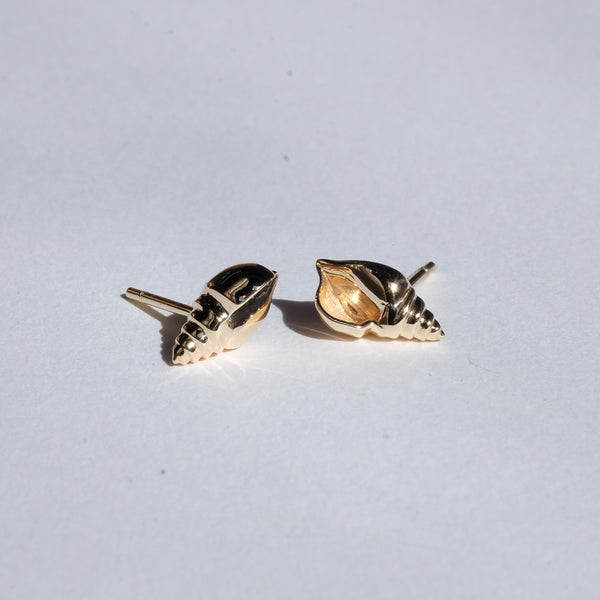Meadowlark Conch Stud Earrings - Sterling Silver - Earrings - Walker & Hall