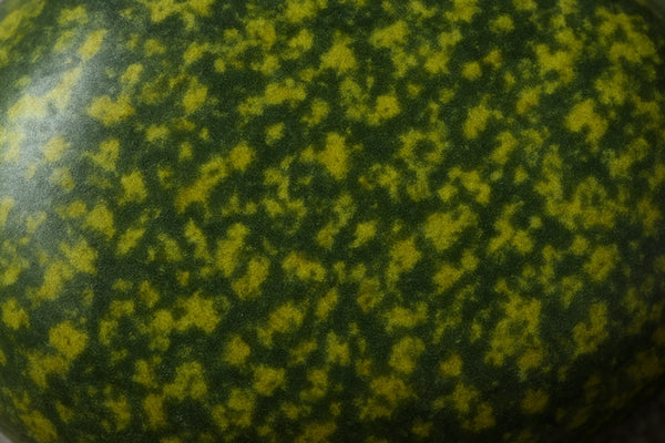 Close up of Kokopu Pounamu Greenstone