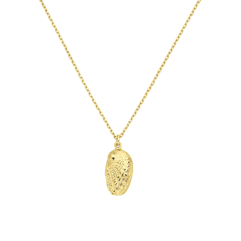 Zoe & Morgan Soul Paua Necklace - Gold Vermeil - Necklace - Walker & Hall