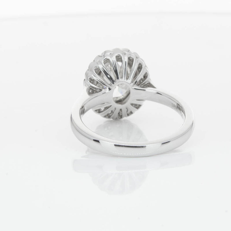 18ct White Gold Oval Cut Diamond Halo Ring-Ring-Walker & Hall