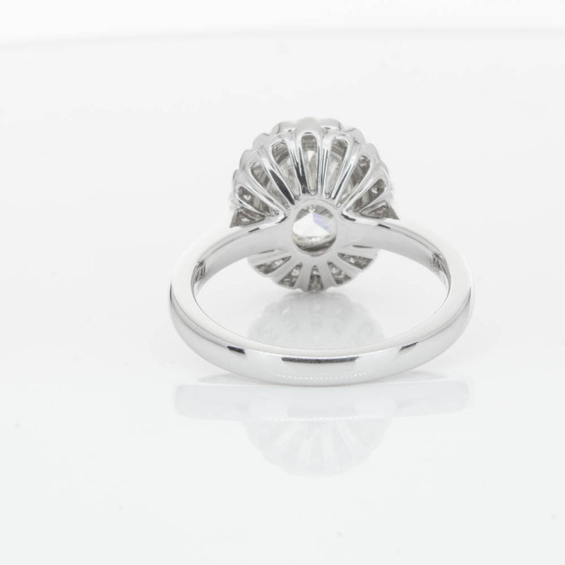 18ct White Gold Oval Cut Diamond Halo Ring-Ring-Walker & Hall