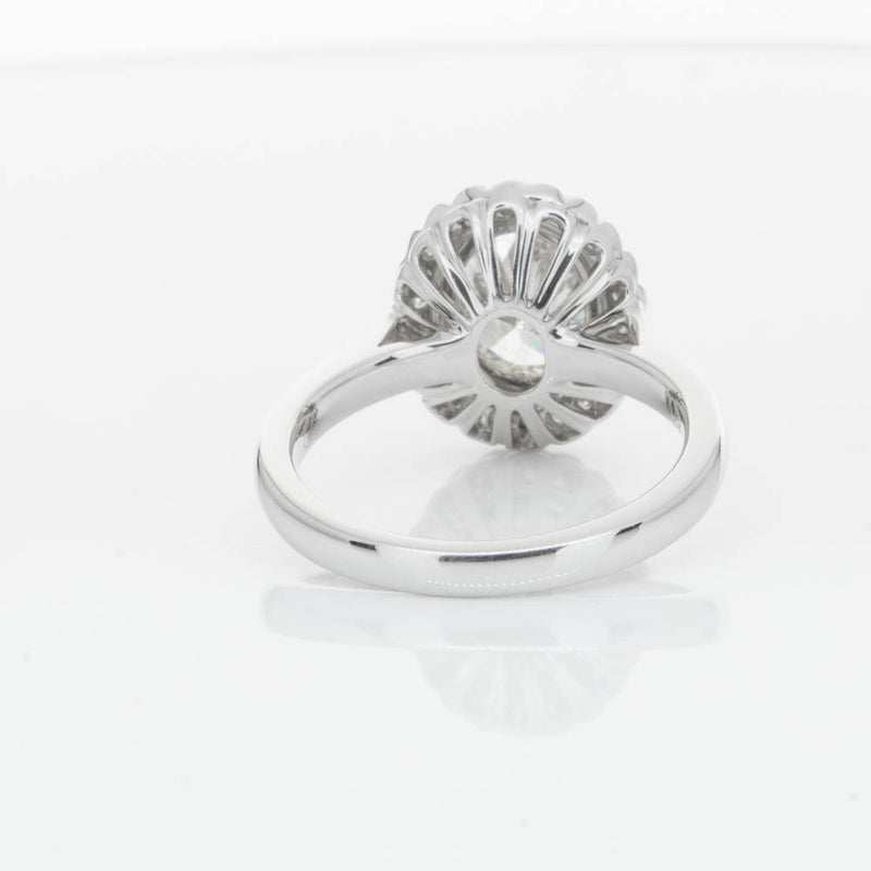 18ct White Gold Oval Cut Diamond Halo Ring-Ring-Walker & Hall