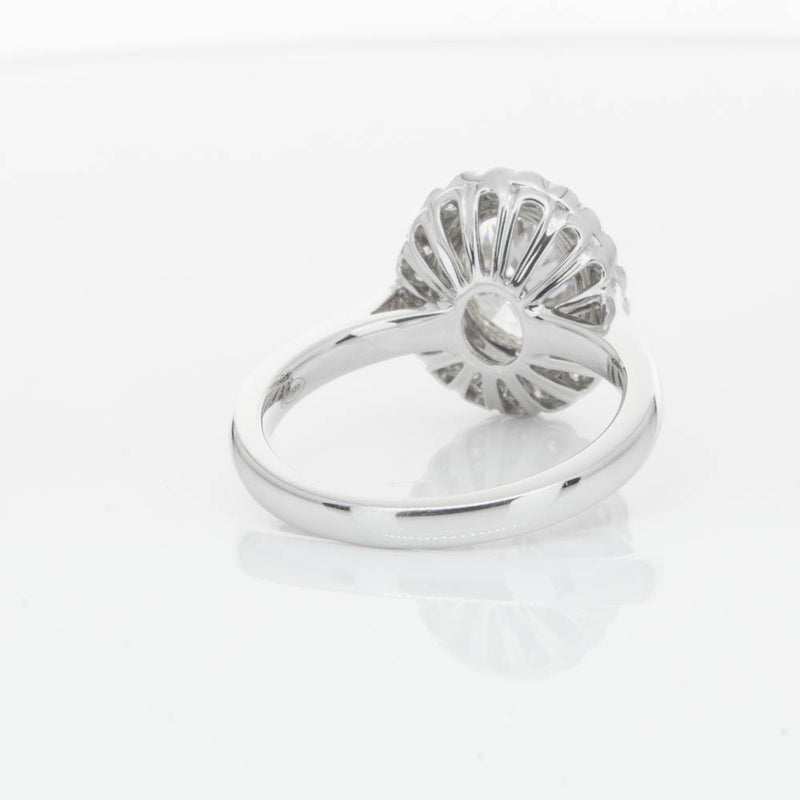 18ct White Gold Oval Cut Diamond Halo Ring-Ring-Walker & Hall