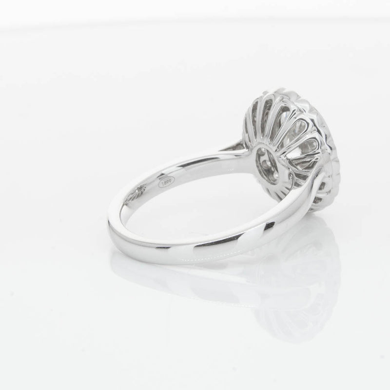 18ct White Gold Oval Cut Diamond Halo Ring-Ring-Walker & Hall