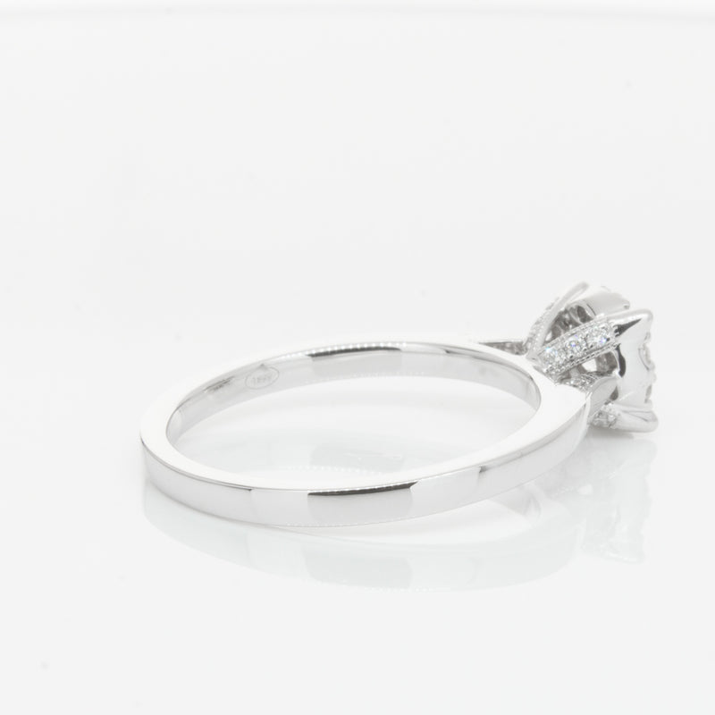 18ct White Gold Diamond Constance Ring-Ring-Walker & Hall