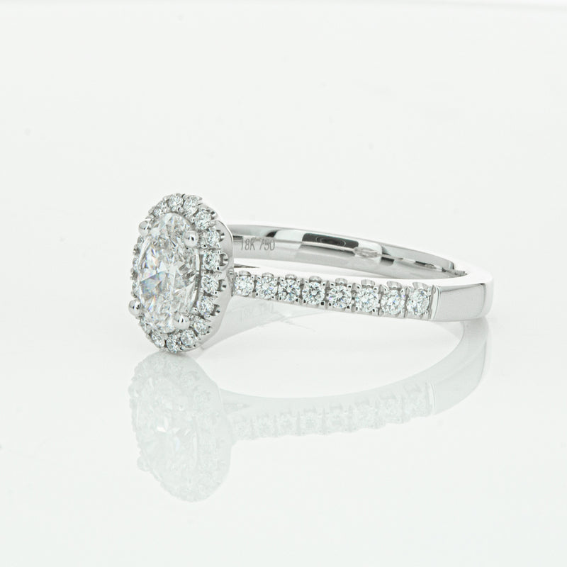 18ct White Gold Oval Cut Diamond Halo Ring-Ring-Walker & Hall
